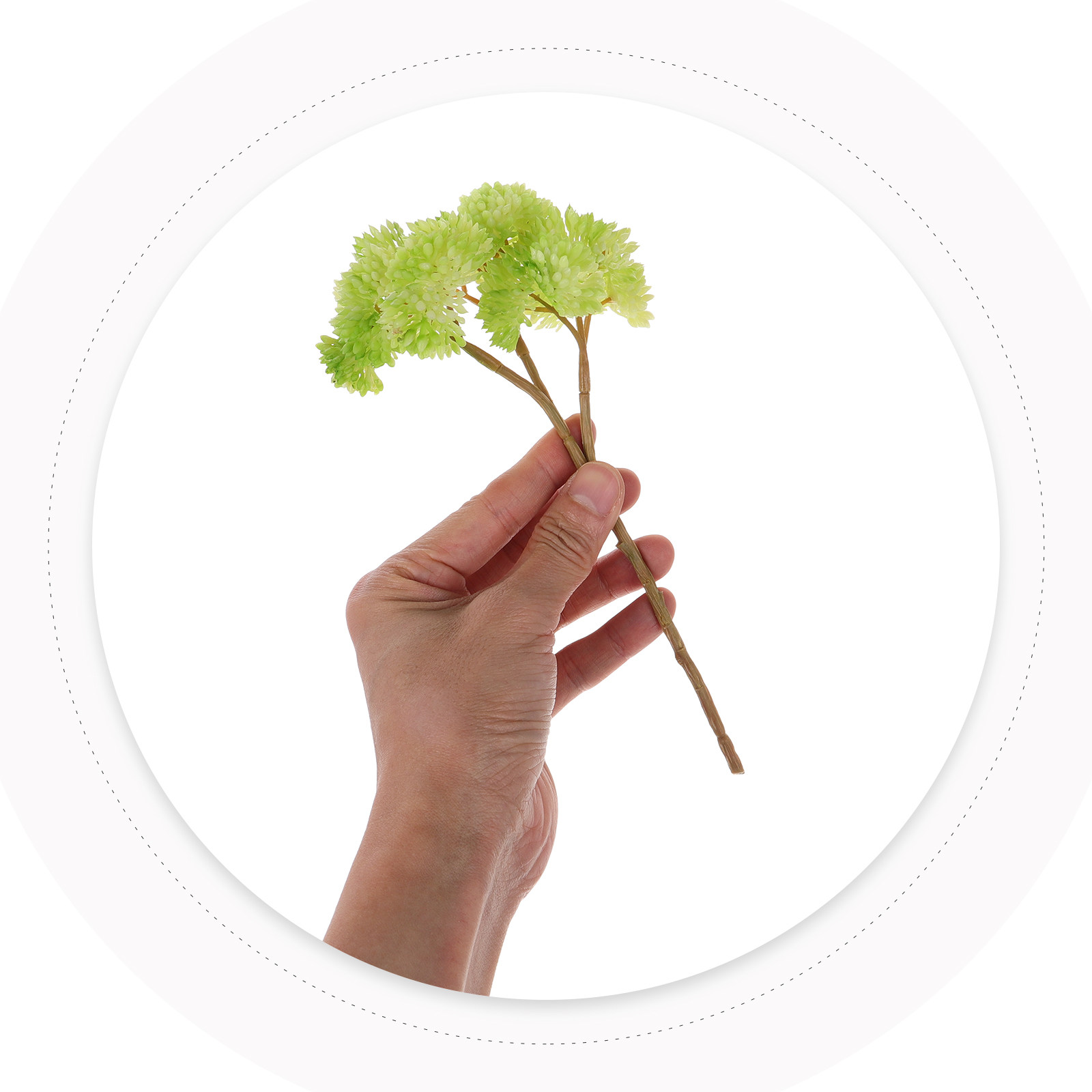 Realistic Faux Succulent Plant - Desk Setup In Office recension och pris